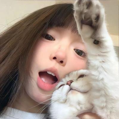 再见哈利